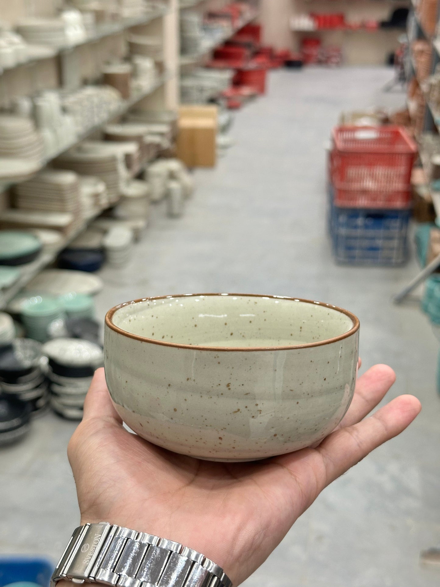 Leftover 4.5 inch Single Serving Bowl ( Grey Colorline )