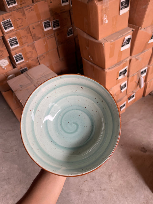 Leftover 8 inch Round Bowl ( Teal Colorline )