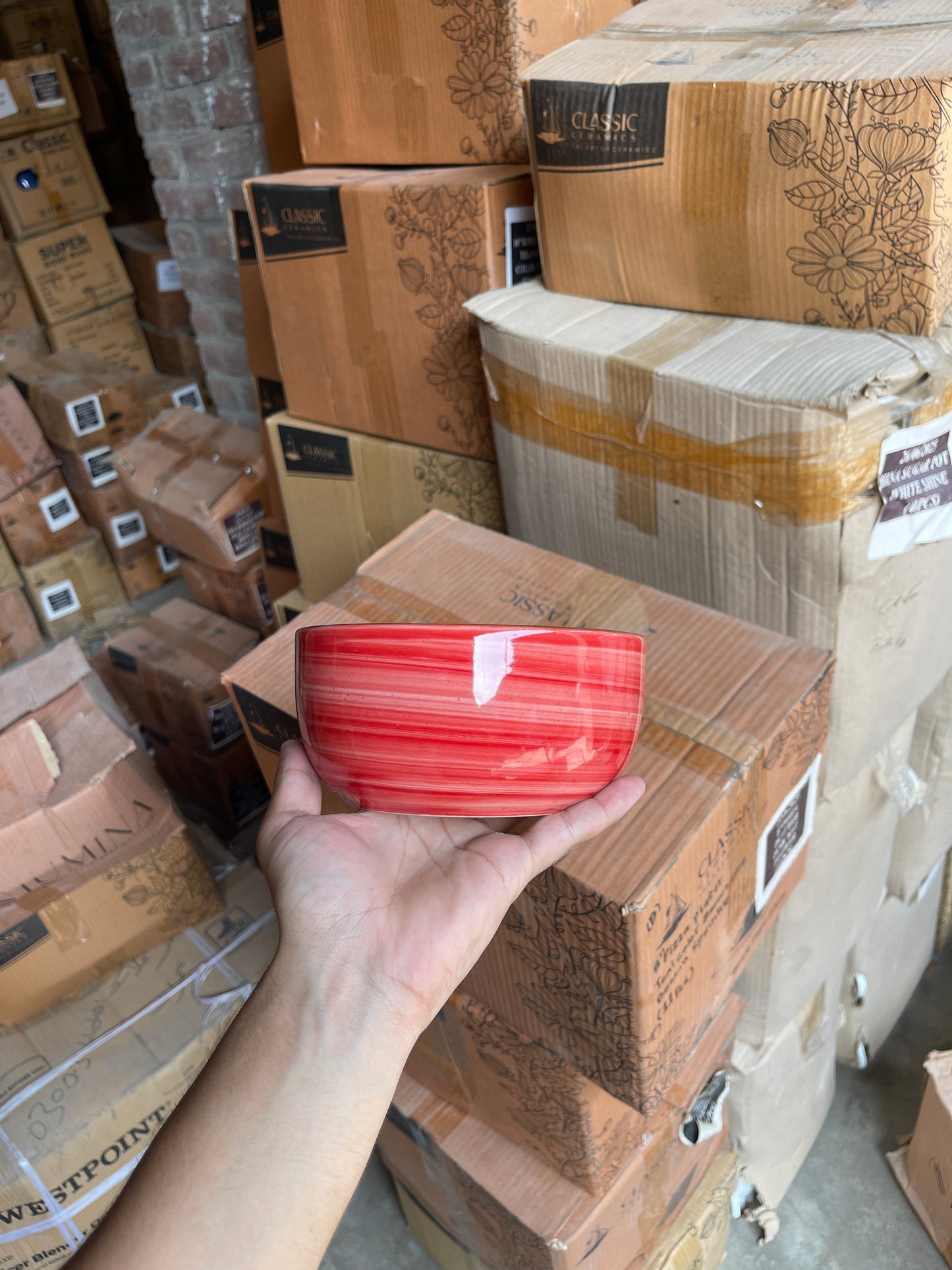 Leftover 6 inch Noodle Bowl ( Outer Red Colorline, Inner Blue Colorline )