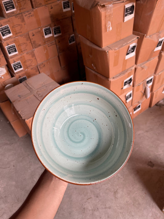 Leftover 8 inch Round Bowl ( Teal Colorline )