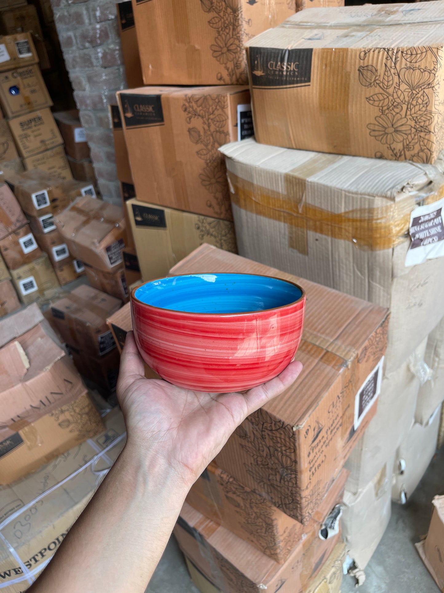 Leftover 6 inch Noodle Bowl ( Outer Red Colorline, Inner Blue Colorline )