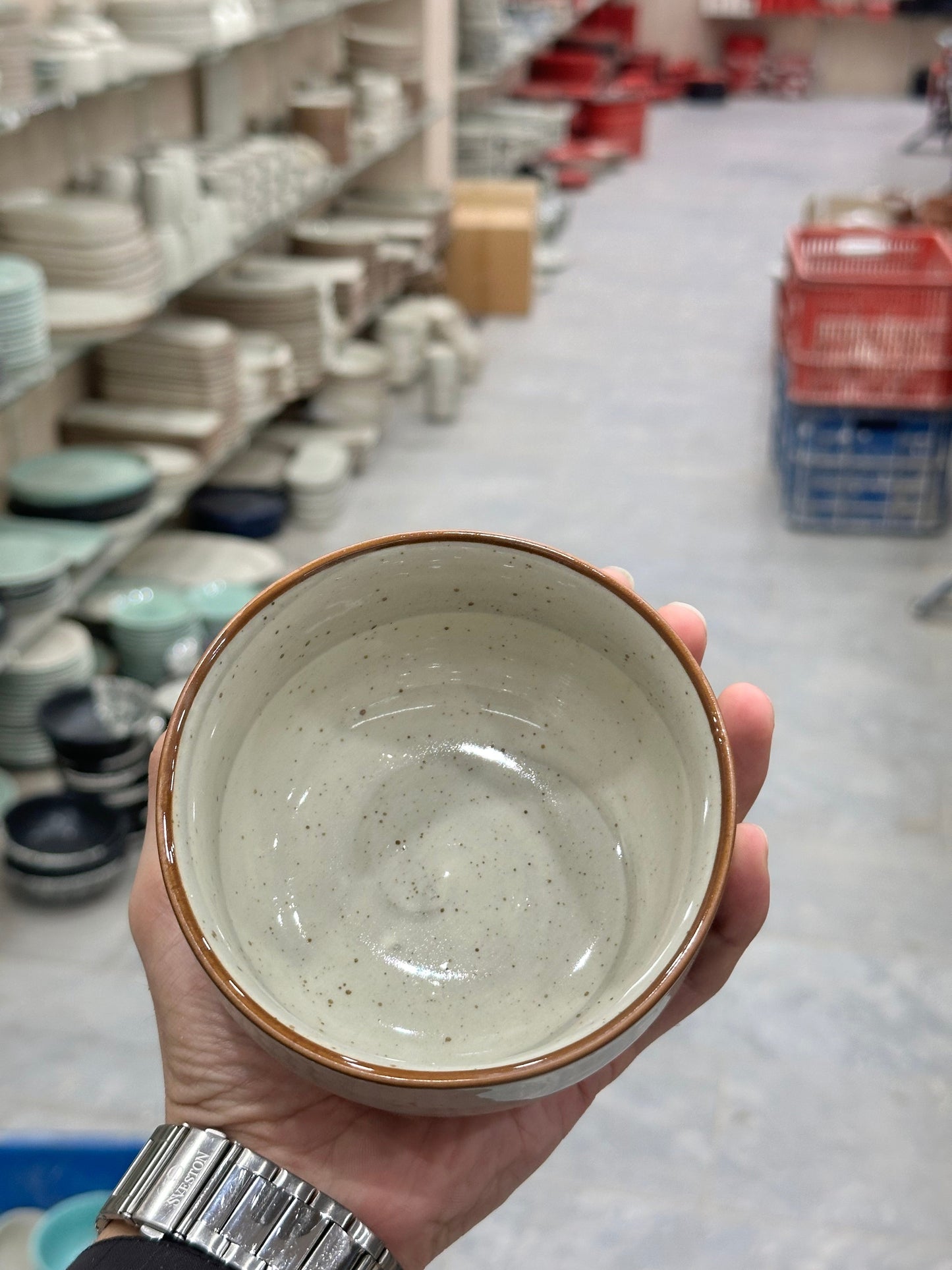 Leftover 4.5 inch Single Serving Bowl ( Grey Colorline )