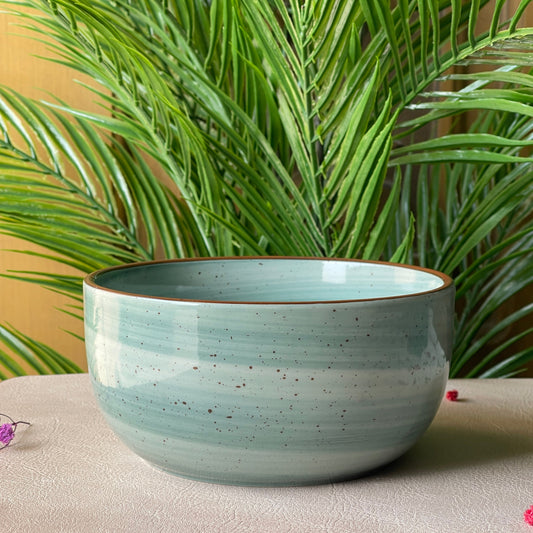 6 inch Noodle Bowl ( Teal Colorline )